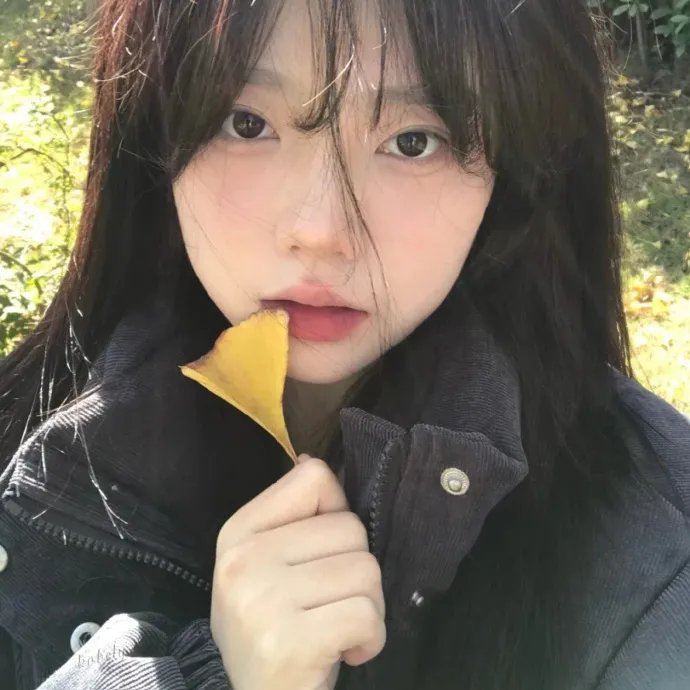 狂卷滚轮情