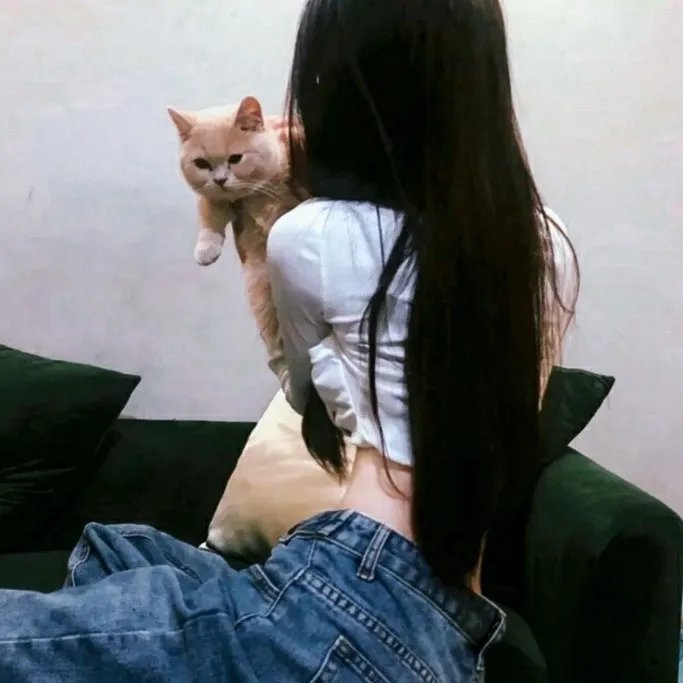 墨西哥人的宫殿